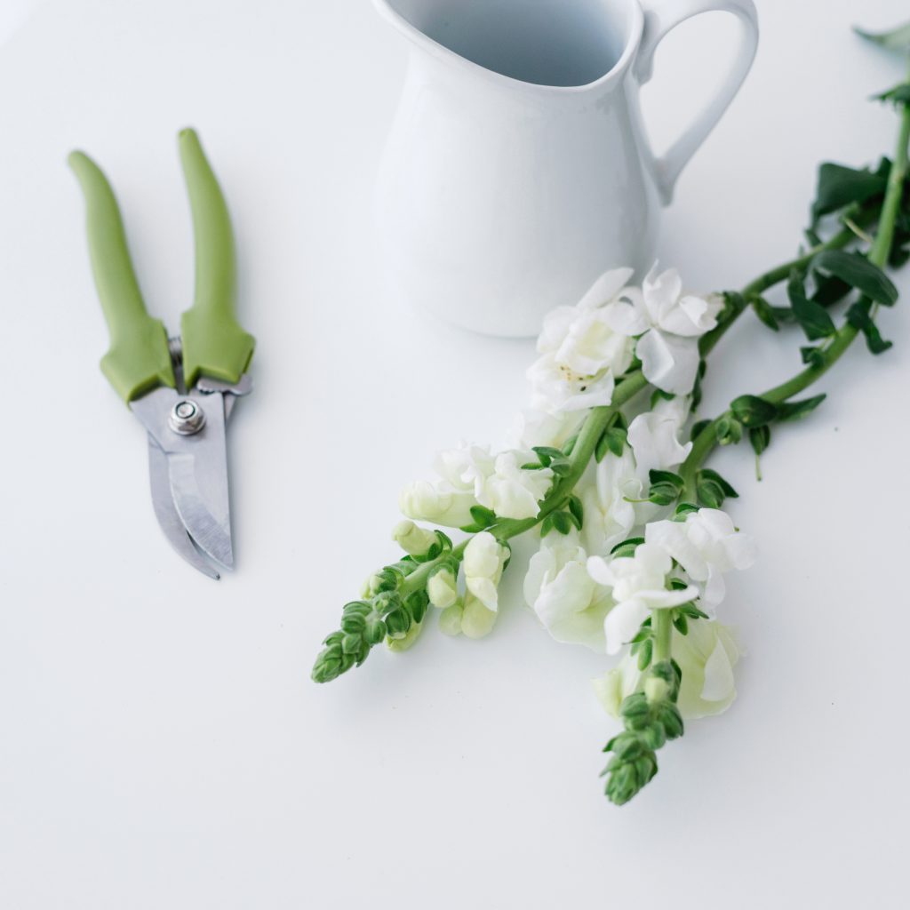 Flowers and clippers for an at-home flower design business